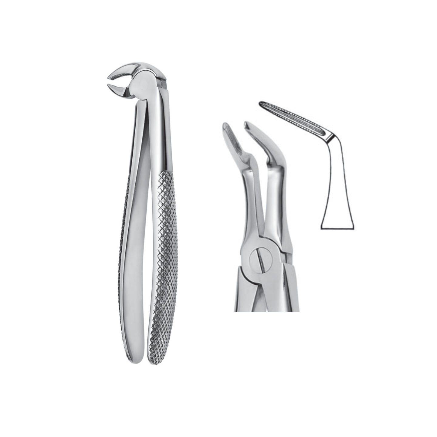 ascento-dental-line-instrumentar-forceps-extractie-46l_1