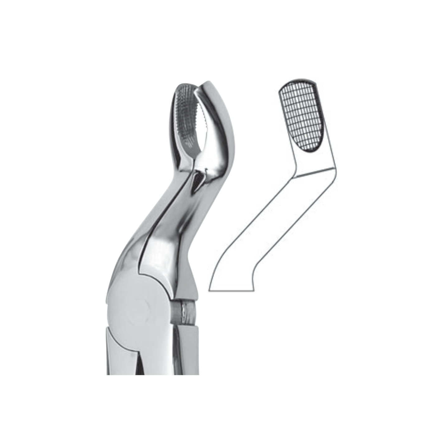 ascento-dental-line-instrumentar-forceps-extractie-fig67a_1