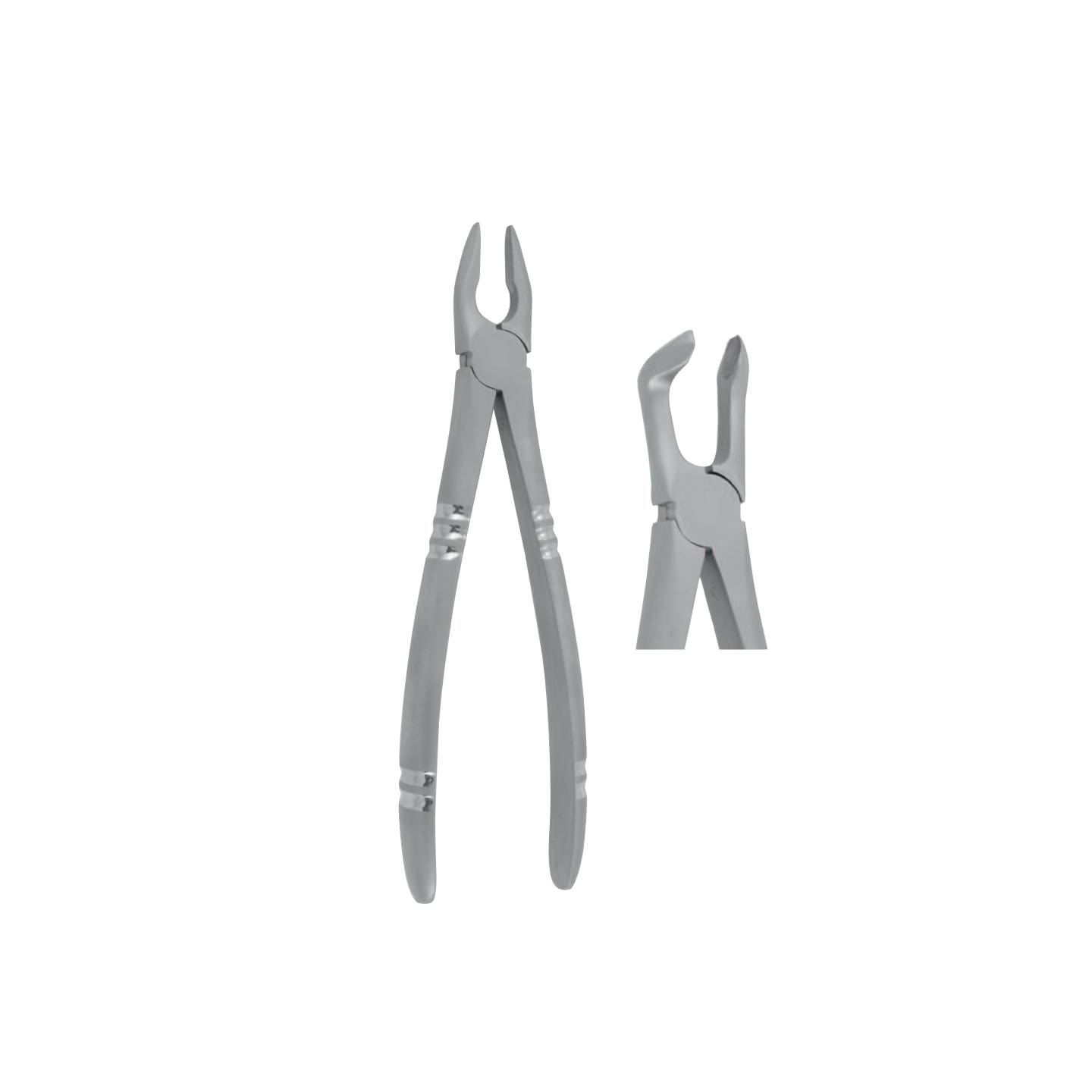 ascento-dental-line-instrumentar-forceps-extractie-fig79-deep_1